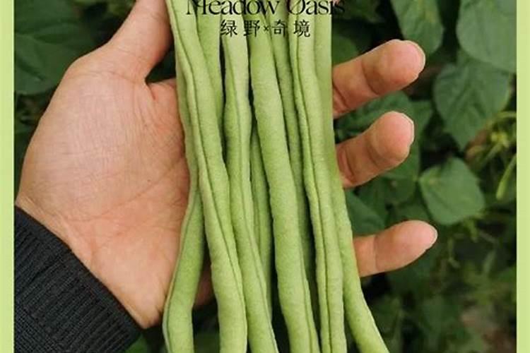 昆明中研甲状腺董方武医生:甲状腺癌术后必须补钙吗？怎么补钙好呢？