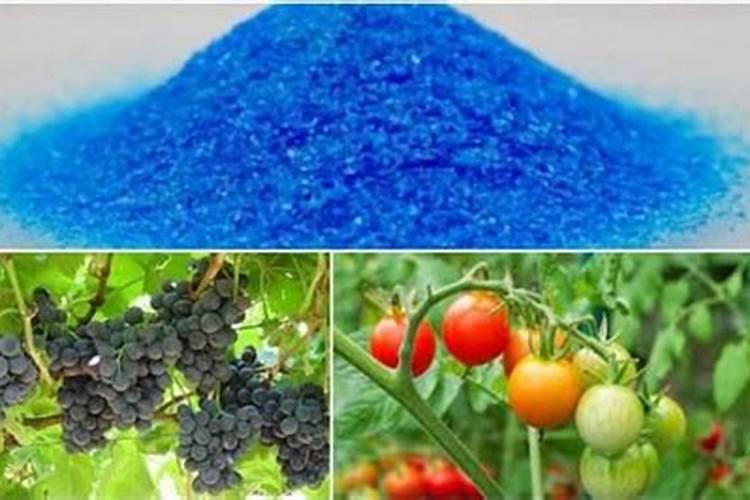 硫酸铜在鱼塘里有什么作用