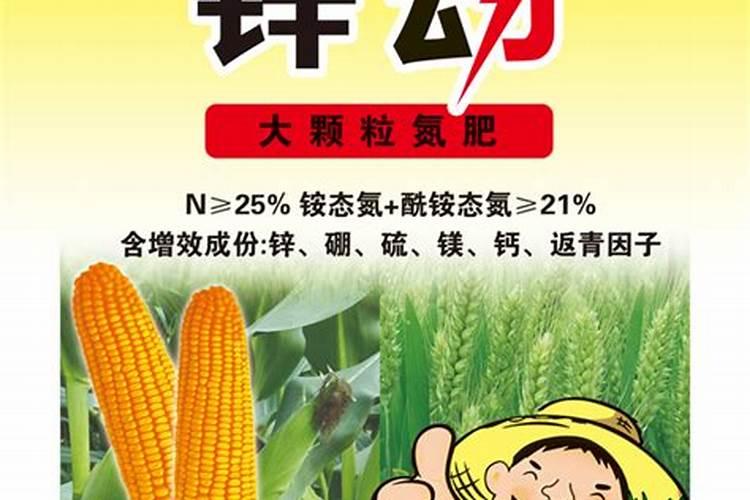 种玉米施肥用什么肥料好