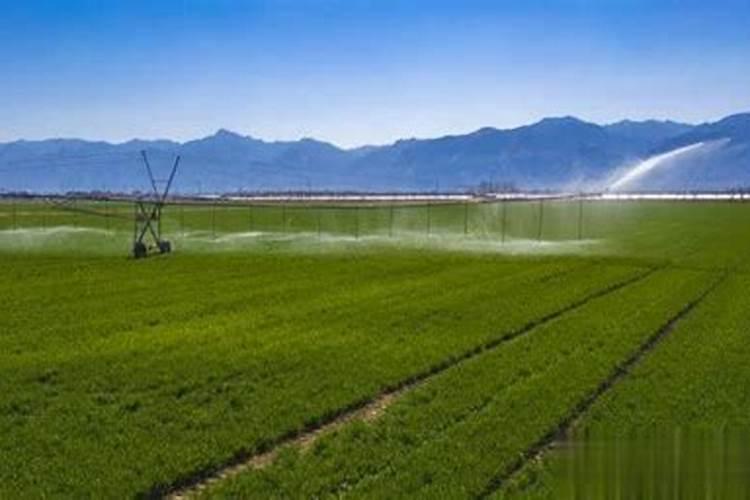 绿植花卉常用跟矿院黄腐酸钾组合经典的肥料复配方式