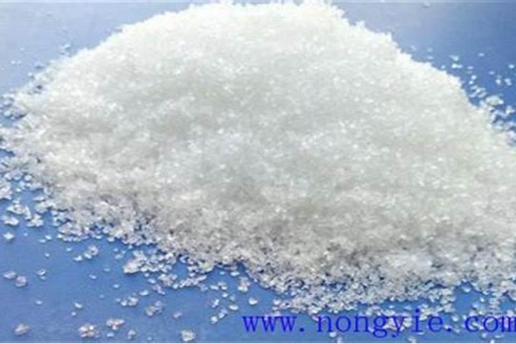 葵花苗期喷施什么叶面肥好