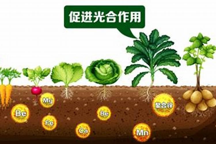 腐植酸水溶肥代替尿素可以吗