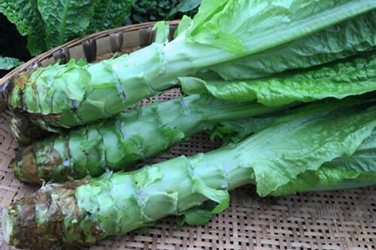 种莴笋如何施肥才能高产？