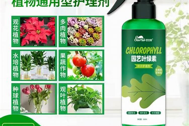 叶面肥如何兑水？使用配比？