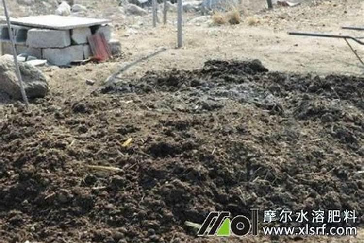 水溶肥做叶面肥用量多少