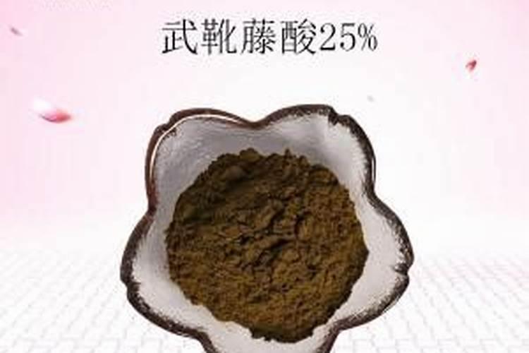 不用钱买的什么鸡鸭吃什么才能多下蛋