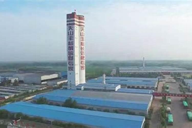 山东菏泽适合种植什么？