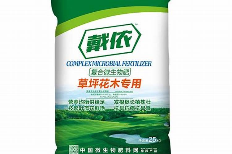 沧州人气超高大姨卖牛杂,一锅牛杂半小时就抢光,买到算运气好