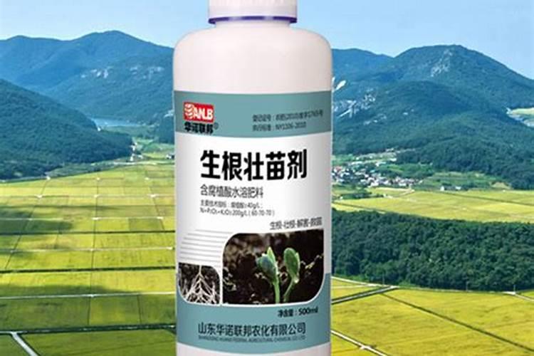 烤烟种植技术与方法