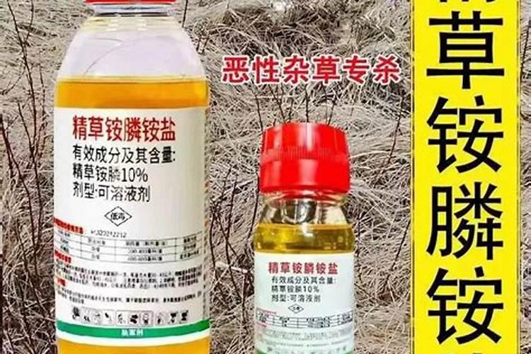 大葱有哪几种主要病害,如何防治？