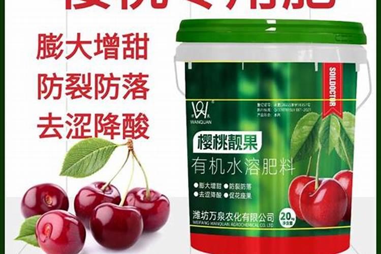 桂花树在北方能种在院子里吗