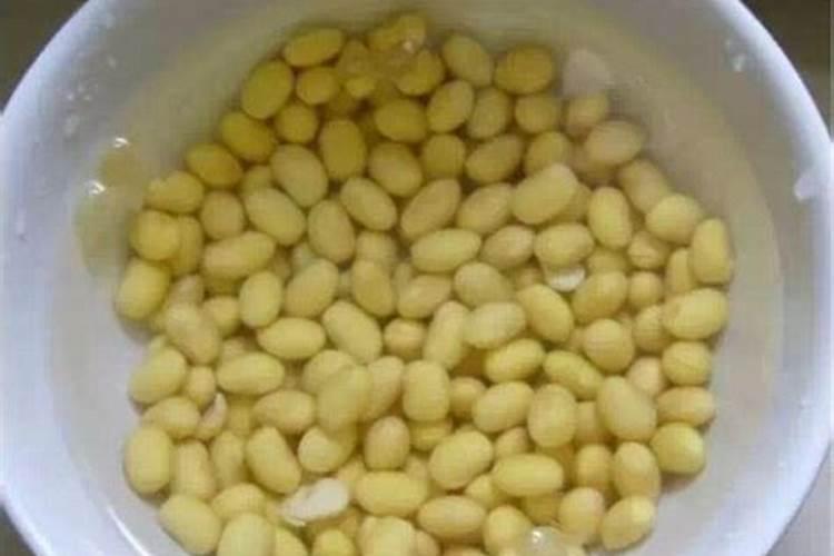 炒熟的黄豆可以做肥料吗,具体怎么操作能做肥料