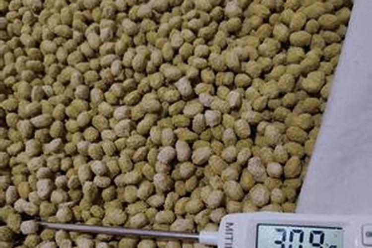 发酵后的咸豆子能作花肥吗？