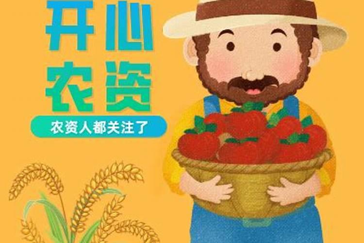 盆栽满天星用什么肥料比较好