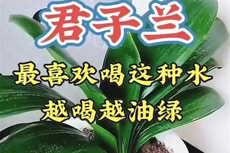 氮肥是什么肥料