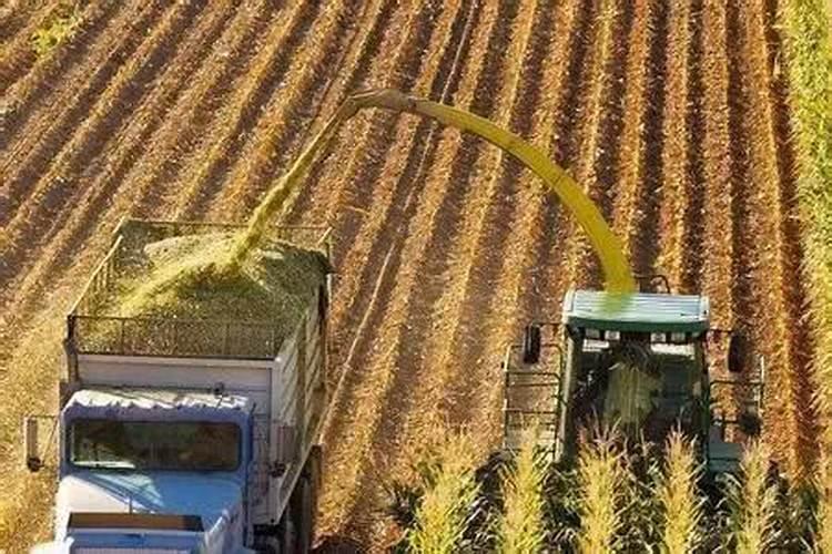 玉米底肥一次性施肥 氮磷钾 各用多少？