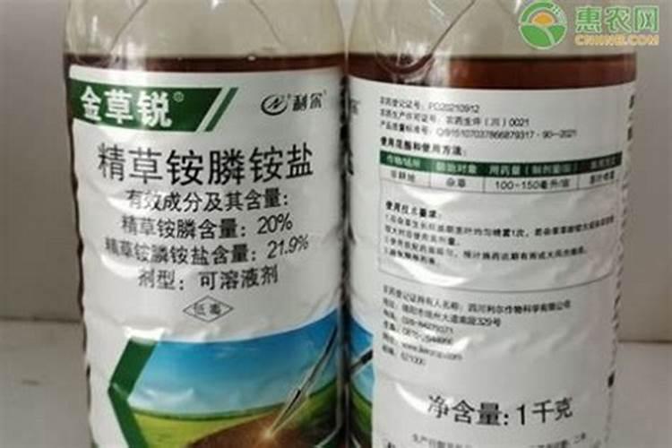 葵花种植时间和方法