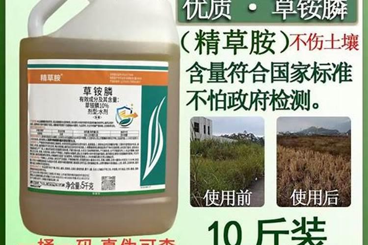 草胺磷的使用方法