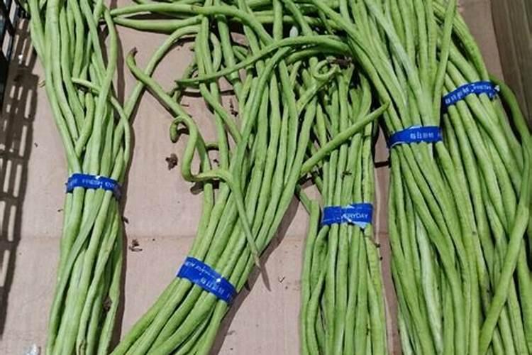 豆角上架后的四大禁忌,小心种出的豆角又长又脆