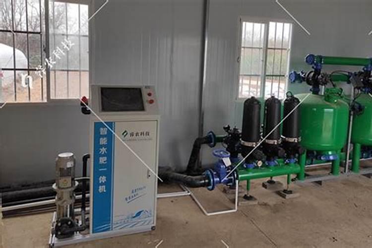 沃柑怎么施用鱼蛋白肥？