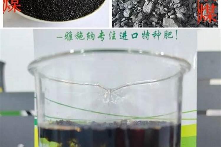 黄腐酸钾化成水剂生根效果怎么样？