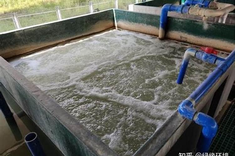 如何处理海水养殖废水