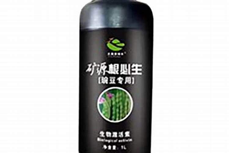 豆子种植