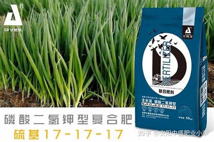 八月中旬大葱施什么肥好