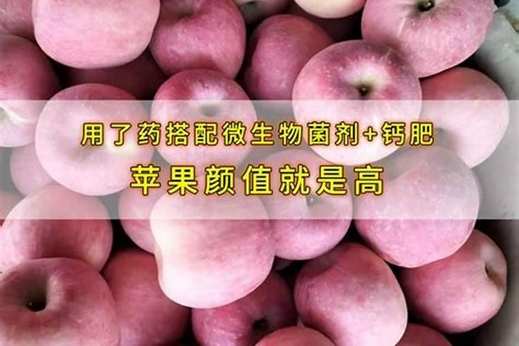 苹果缺钙症状什么时候补钙最快(苹果补钙用什么药)