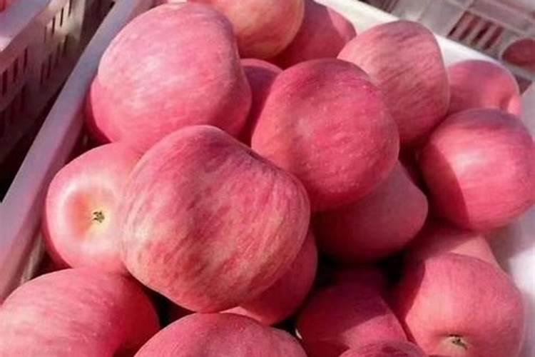 内蒙古 那些公司生产尿素