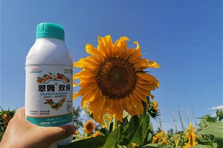 大豆初花期能不能使用叶面肥