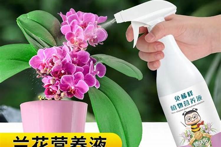 氨基酸、多肽、鱼蛋白:农业肥料界的 “三兄弟” 谁更牛？