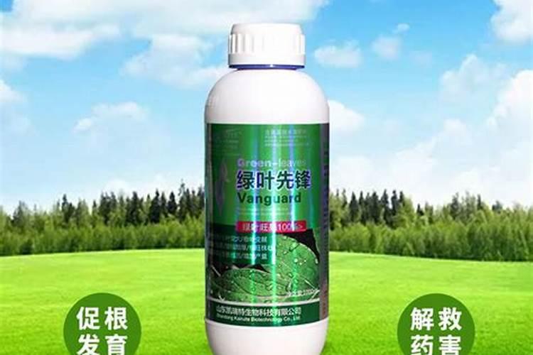 绿叶先锋30斤水兑多少