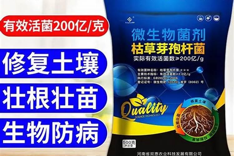 什么叶面肥能使叶子快速变绿变厚？