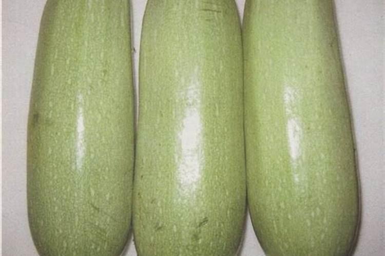 西葫芦2叶时冲什么肥料好