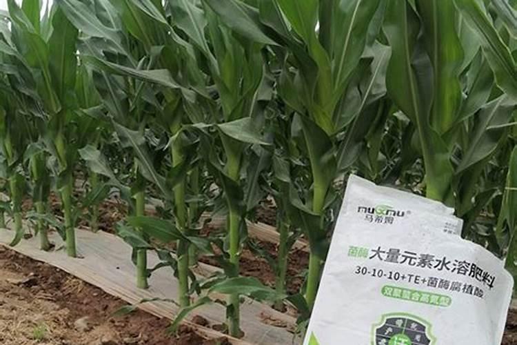 山东威百亩农业科技有限公司怎么样？