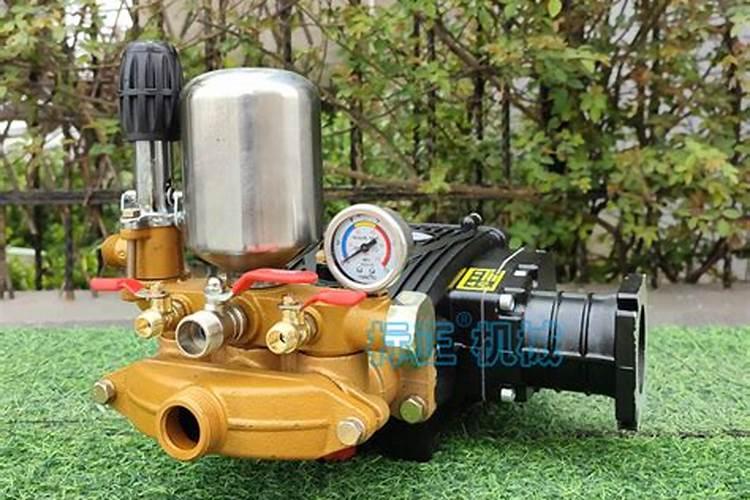 樱桃硬核期使用什么肥,樱桃硬核期是什么时候