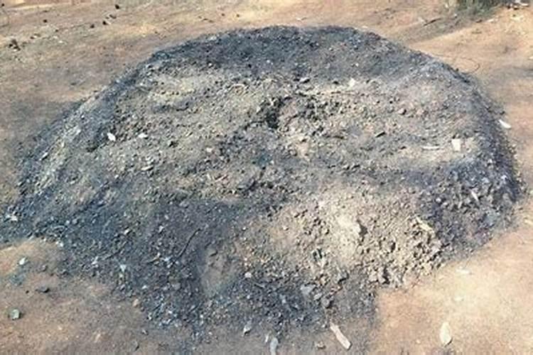 常用氮肥有哪些