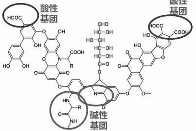 腐殖酸是什么？有什么作用？