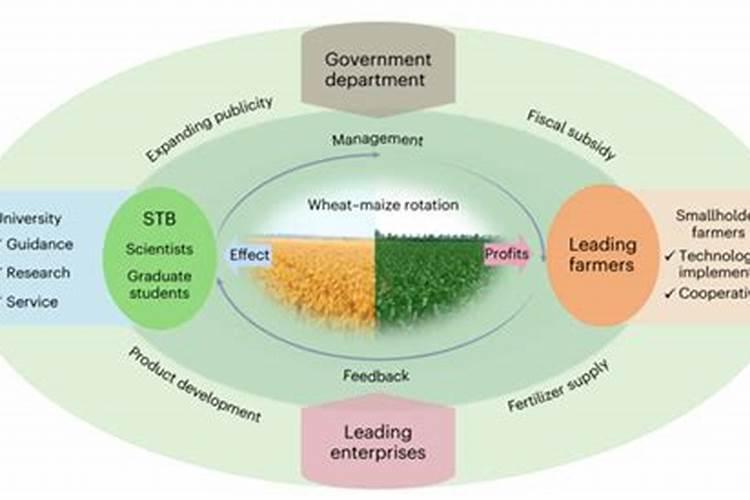 水溶肥直接撒在土表面行吗,会不会造成肥料浪费或烧苗？