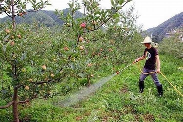 苹果叶面钙肥那品牌质量好？