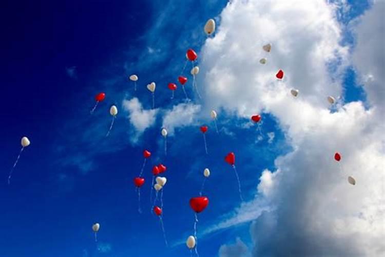 春雷王铜可以和高效氯氟氰菊酯混用吗