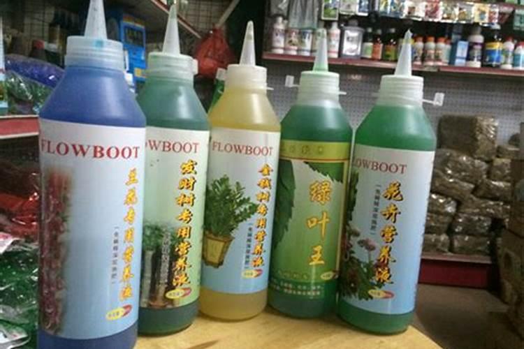 黄瓜开花结果需要施肥吗