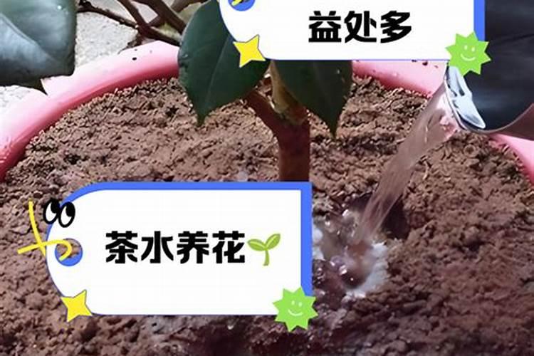 什么是水溶性磷肥？