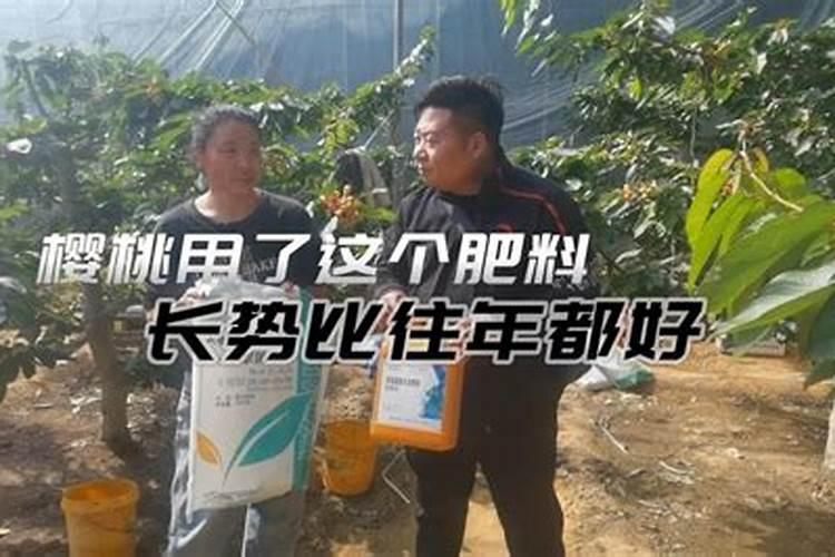 芸苔素对棉花有什么作用