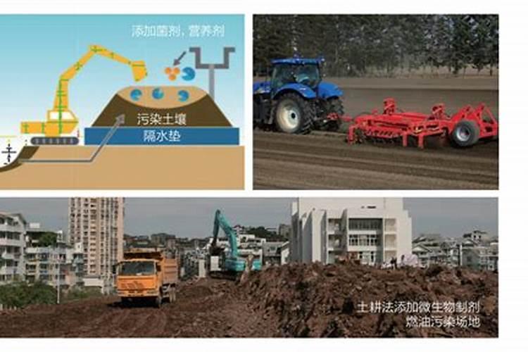 瑞普909玉米品种介绍