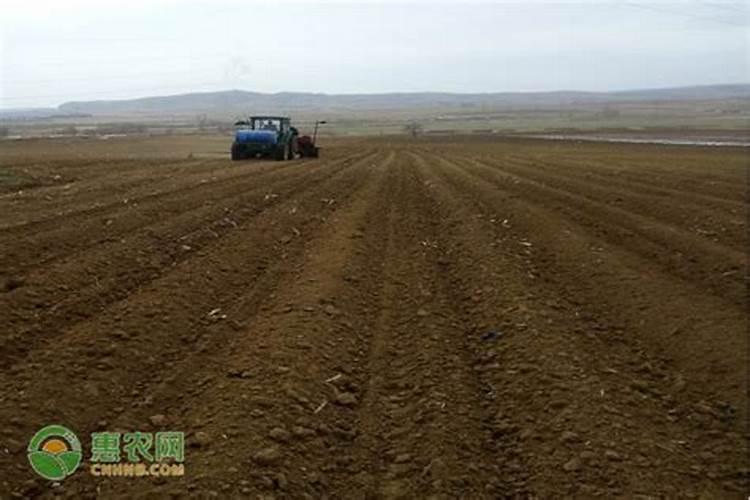 哪种氮肥容易引起土壤结块 土壤结块如何处理