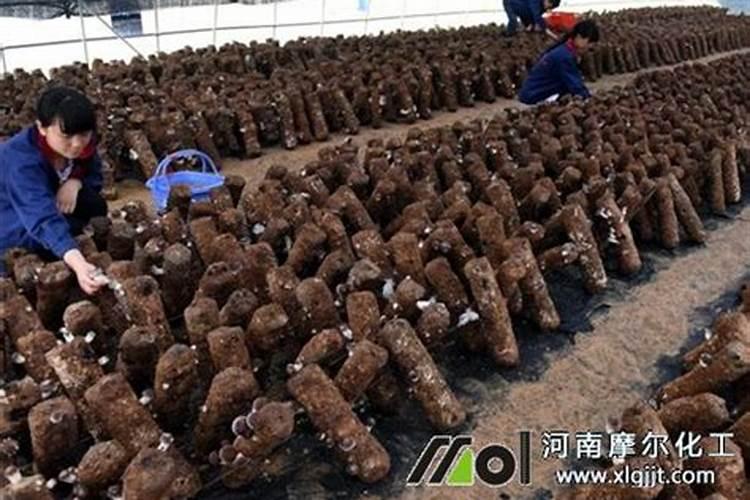 氮磷钾复合肥使用方法