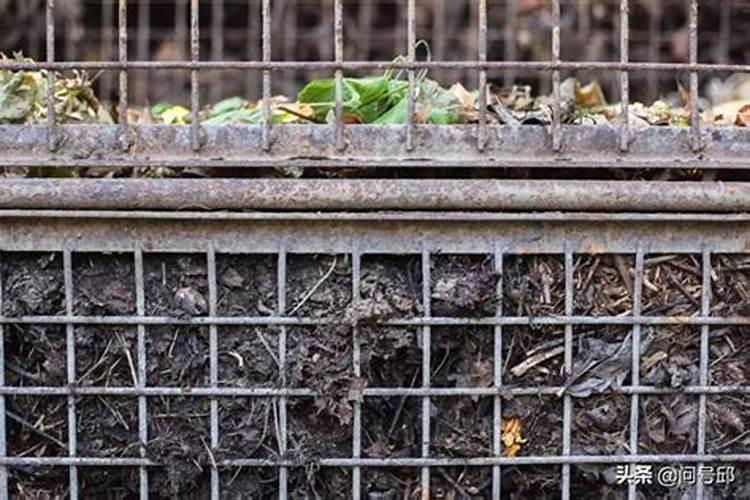 秸秆还田或堆肥时为何经常要加入适量的速效氮肥？