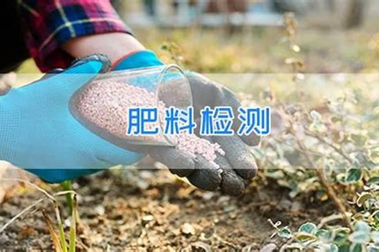 新型烟草专用肥料有哪些